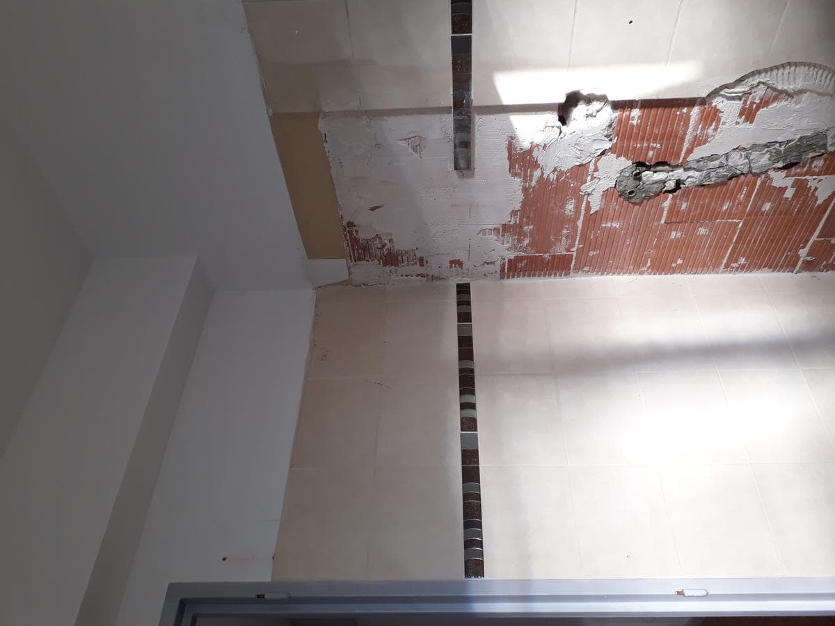 Cyclamen — avant travaux